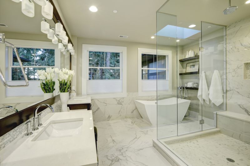 Elegant Bathtubs and Showers